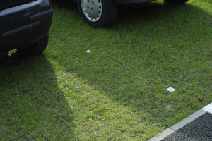 Ecogrid Grass Car Park